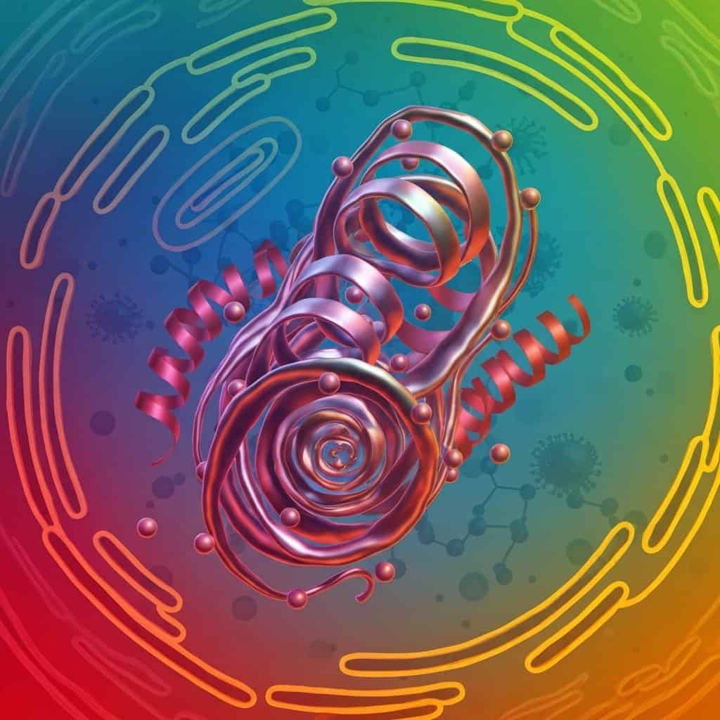 Transferryna – kluczowe białko w transporcie żelaza